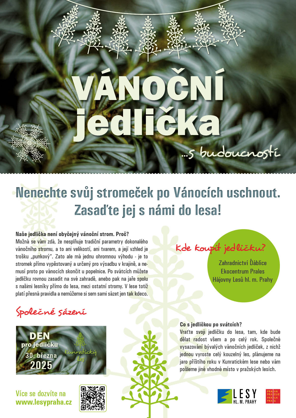 jedlicka_plakat_2025