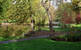 Stromovka - rybníky od Šlechtovky