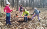 Základní škola Chmelnice pomáhala s výsadbami v Kunratickém lese