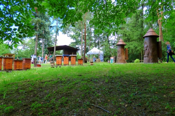 Včelnice u Labutě v Kunratickém lese