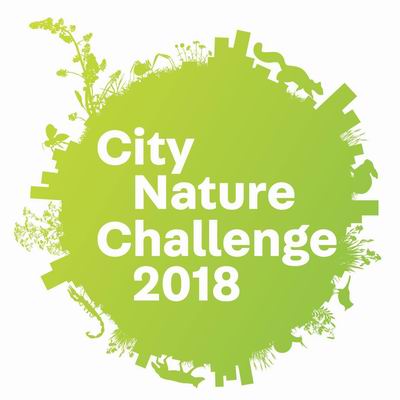 city-nature-challenge-2018-logo