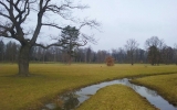 Královská obora Stromovka - bývalé dno rybníka