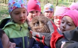 Společně s dětmi jsme navrátili ježky do volné přírody