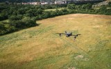 Na některých loukách ponecháváme pruhy neposekané trávy.  Mozaikovitou sečí se snažíme podpořit druhovou pestrost lokalit a zlepšit její ekologickou stabilitu.