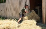 Nasušené seno bude sloužit zvířatům v zookoutcích a záchranné stanici hlavně v období nouze.