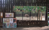 V chuchelském zookoutku  jsme vystavili obrázky dalších účastníků soutěže