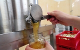 v medárně stáčíme med z pražských lesů