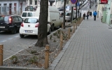 stromořadí v Italské ulici