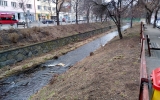 Odpadky v pražských vodních tocích