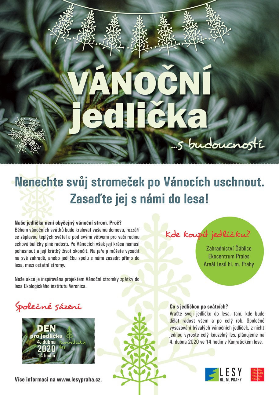 vanocni_jedlicka
