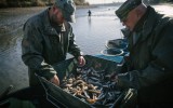 V průběhu letošního jara sloví rybáři na území Prahy jedenáct rybníků.