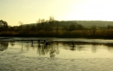 podzimní výlovy pražských rybníků jsou v plném proudu