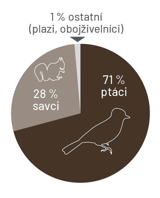 ptaci-savci_2012-2021