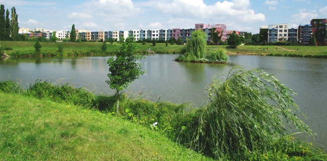 08-07-N1-Stodulky
