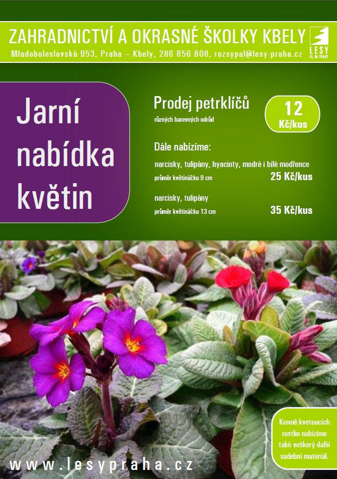 jarni-nabidka-banner-plny
