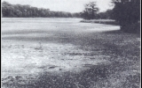 pocernicky-rybnik-02-a-klaudisovanika-10-84