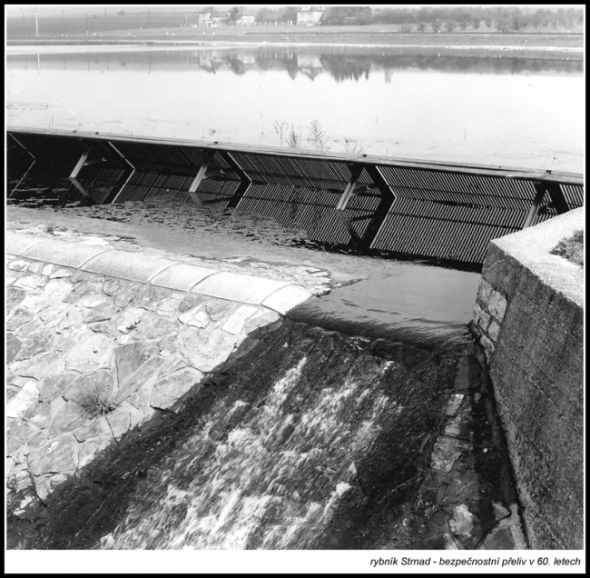 strnad-archiv-lhmp-5