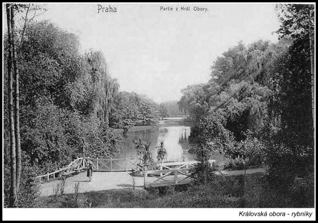 stromovka-rybniky-02