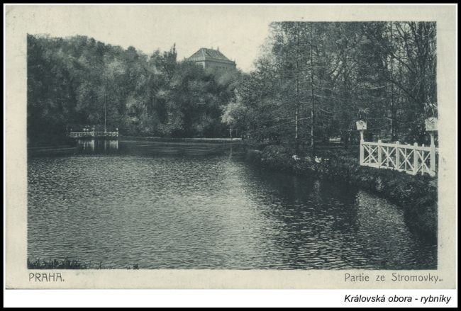stromovka-rybniky-03