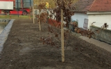 08-11-u-krematoria-03