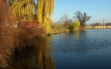 08-11-dzban-01