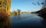 08-11-dzban-02