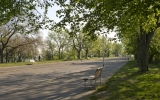 Park na Vítkově