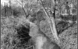 sarecky-p-u-obory-hvezda-archiv-lhmp-2