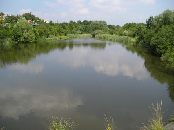 08-06-mecholupska-rn-01