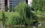 08-08-n1-stodulky-02