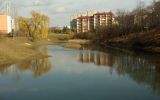 aloisov_01