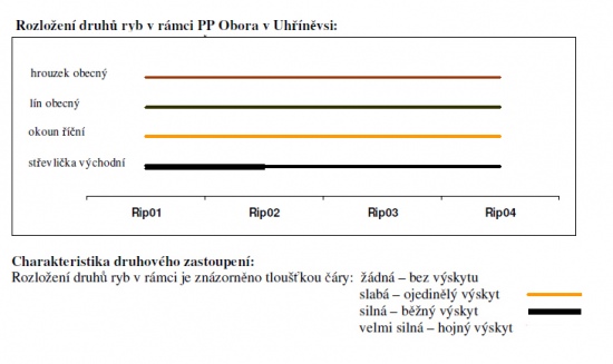 ricansky_rozlozeni_druhu