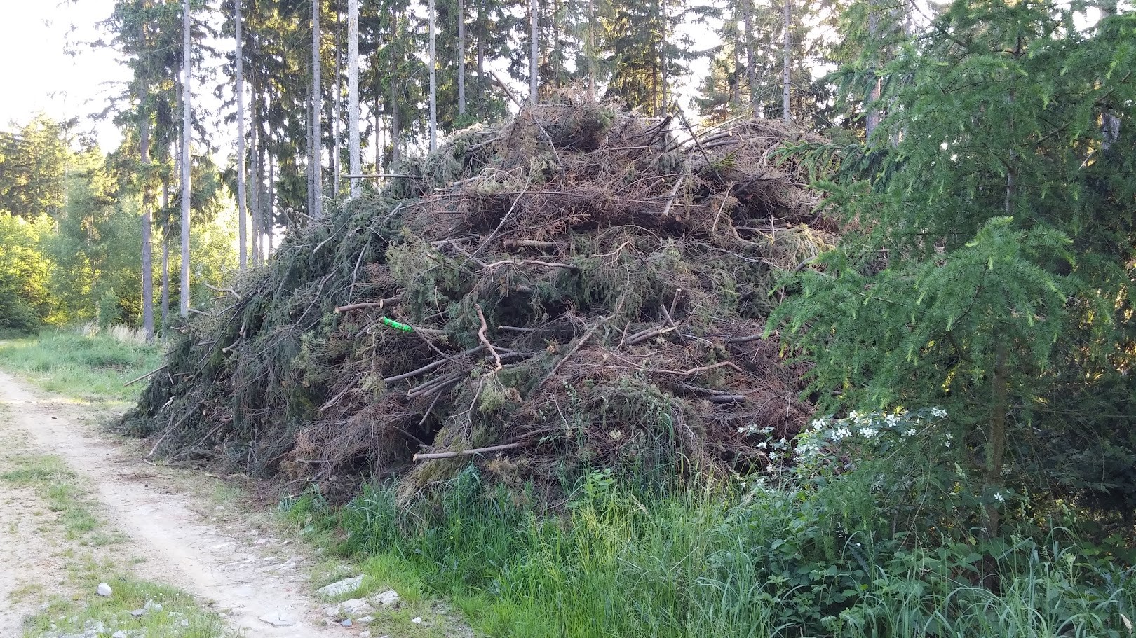 Hromada klestu ke štěpkování