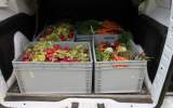 Darované přebytky ovoce a zeleniny od společnosti Billa